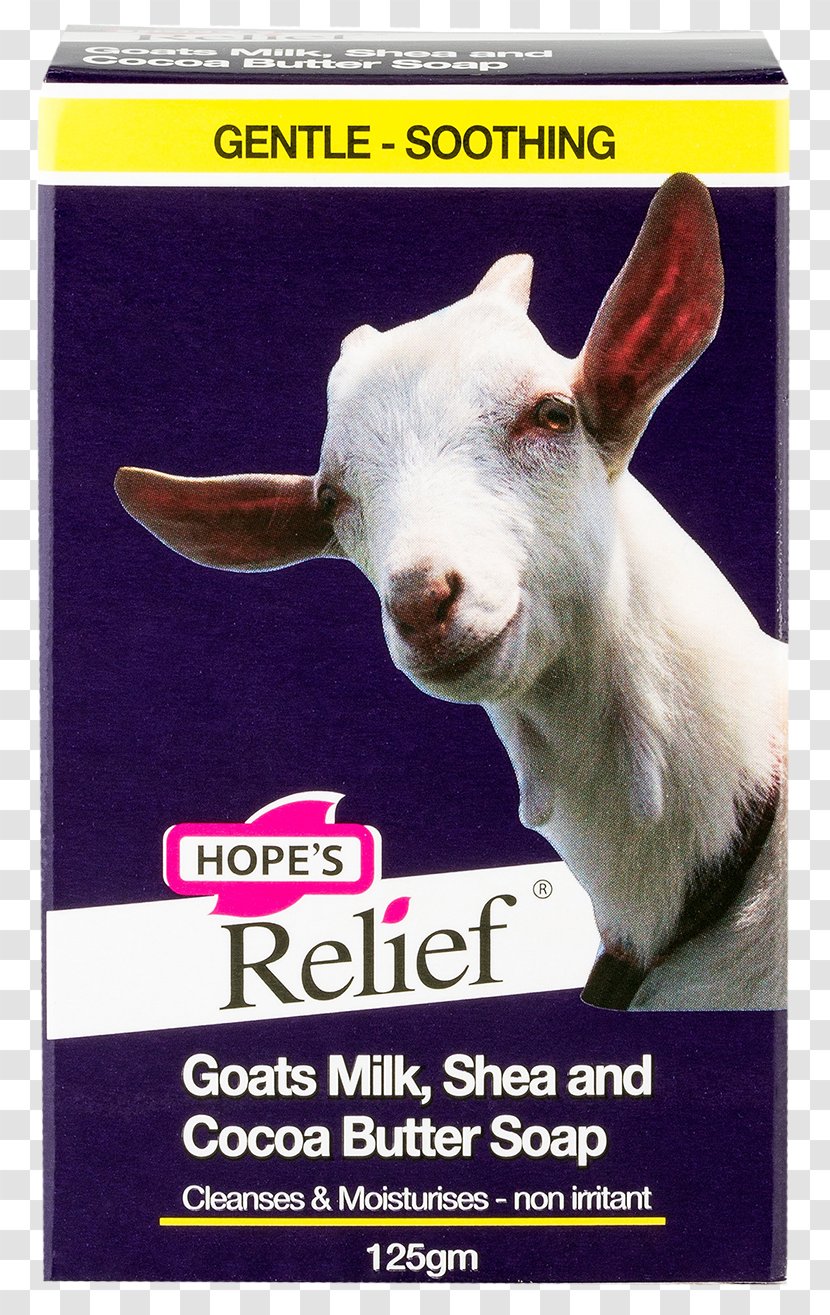 Goat Milk Soap Dermatitis - Cleanser Transparent PNG