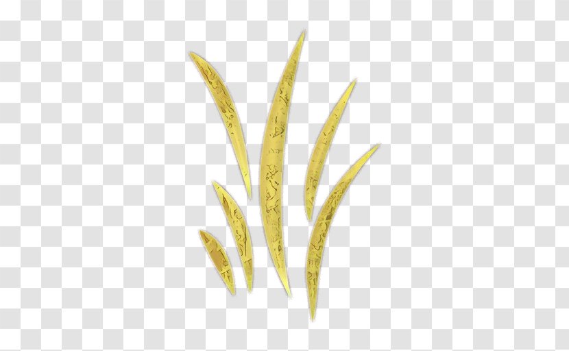 Yellow Plant Grass Family Leaf - Flowering - Flower Transparent PNG