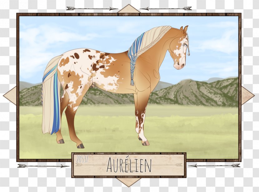 Stallion Mustang Foal Mare Halter - Horse Tack Transparent PNG