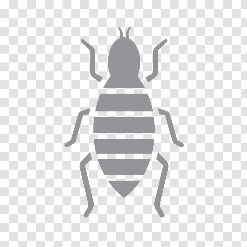 Logo Insect Font Product Pattern - Membrane Transparent PNG