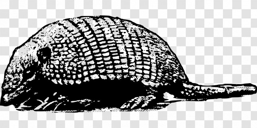 Armadillo Clip Art - Mammal - Clipart Transparent PNG