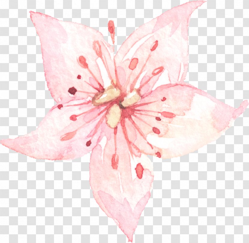 Flower Watercolor Painting Drawing - Hand Painted Transparent PNG