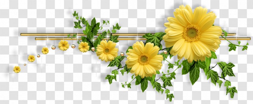 Flower - Flowering Plant - Chrysanths Transparent PNG