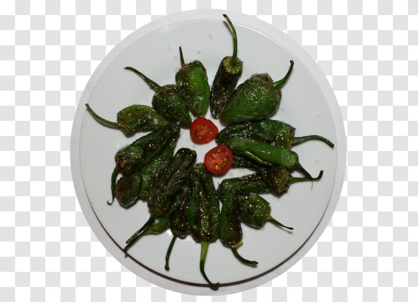 Bird's Eye Chili Pasilla Pepper Peperoncino Recipe - Bell Peppers And - Spanish Omelette Transparent PNG