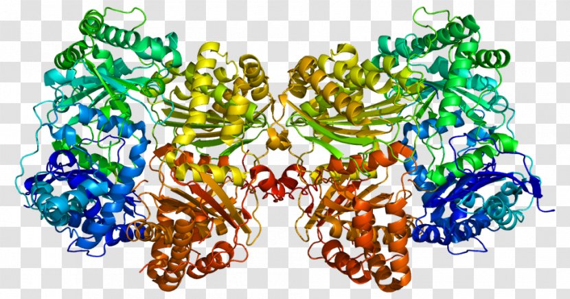 Protein Enzyme RNA Biology Biochemistry - Messenger Rna - Insignia Transparent PNG