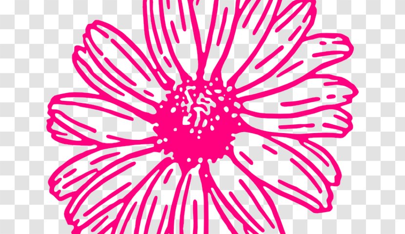Clip Art Transvaal Daisy Illustration Drawing Flower - Plant - Jerusalem Artichoke Transparent PNG
