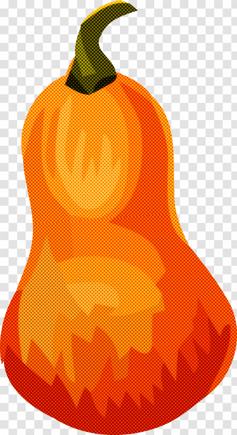 Pumpkin Thanksgiving Autumn Transparent PNG