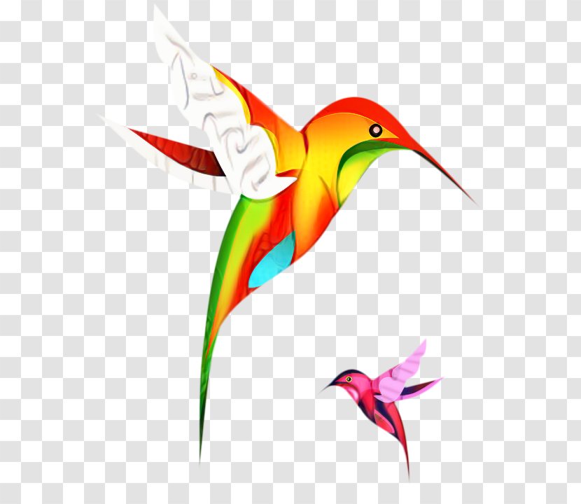 Hummingbird Drawing - Web Design - Heliconia Wildlife Transparent PNG