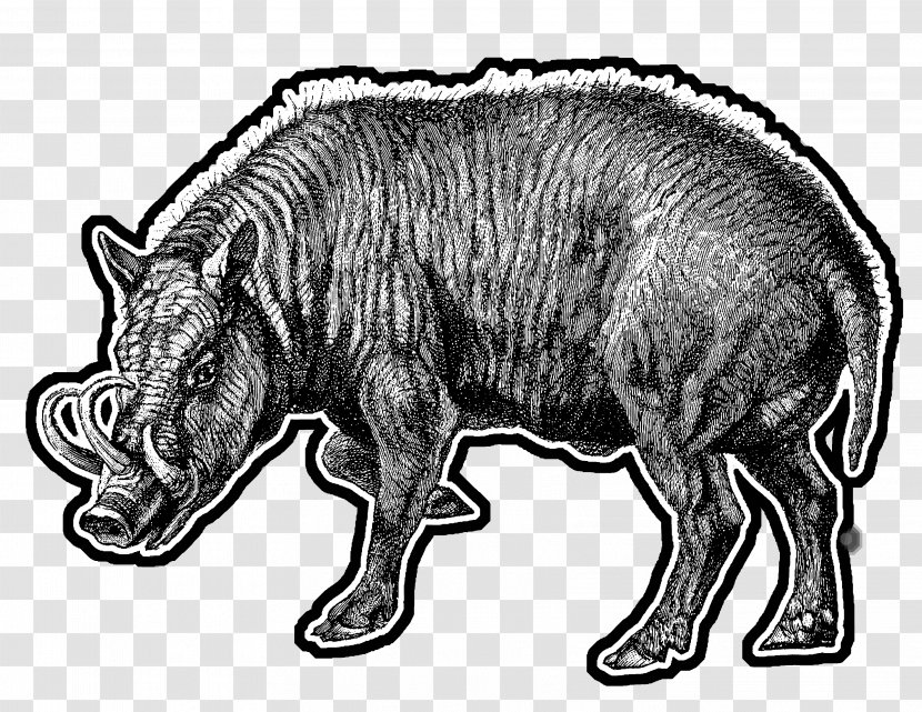 Wild Boar Mammal Horse Cattle /m/02csf - Organism - Warthog Transparent PNG