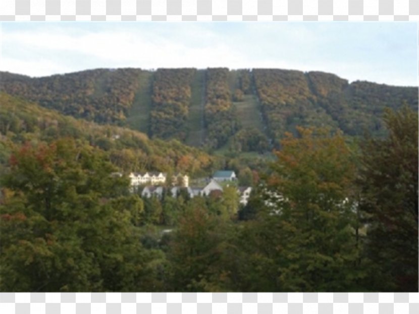 Wyndham Bentley Brook Jiminy Peak Hill Station Ski Resort - Nature Reserve - Pools Transparent PNG