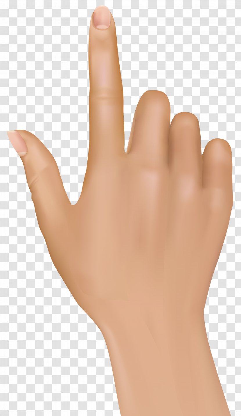 Index Finger Hand Clip Art - Model - Fingers Transparent PNG