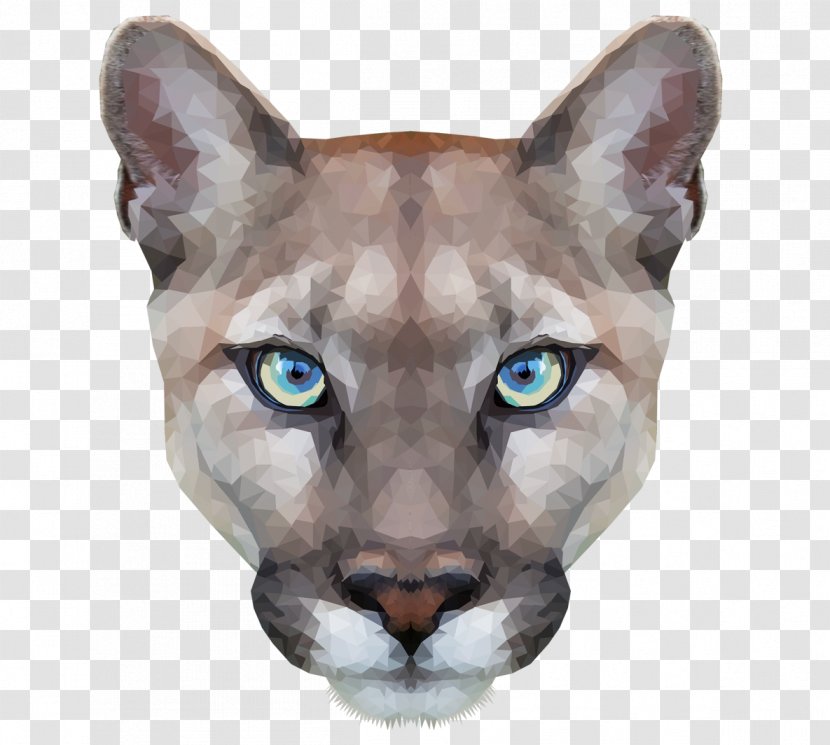 Cougar Cat - Wildlife Transparent PNG