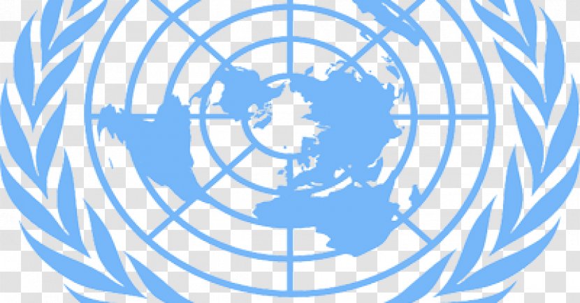 United Nations Office At Geneva Organization Secretary-General Of The Environment Programme - Point - Line Art Transparent PNG