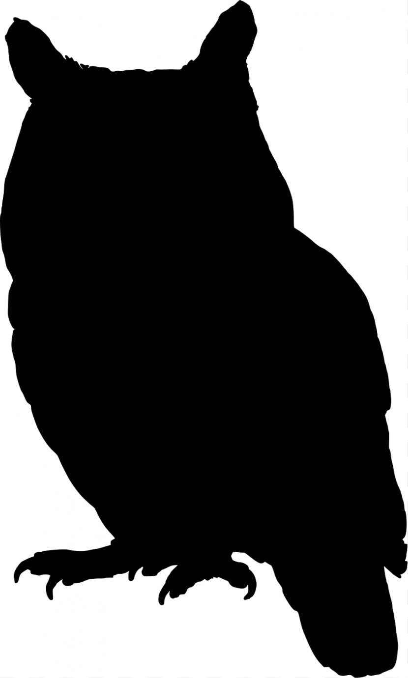 Owl Silhouette Clip Art - Black And White - Cliparts Transparent PNG