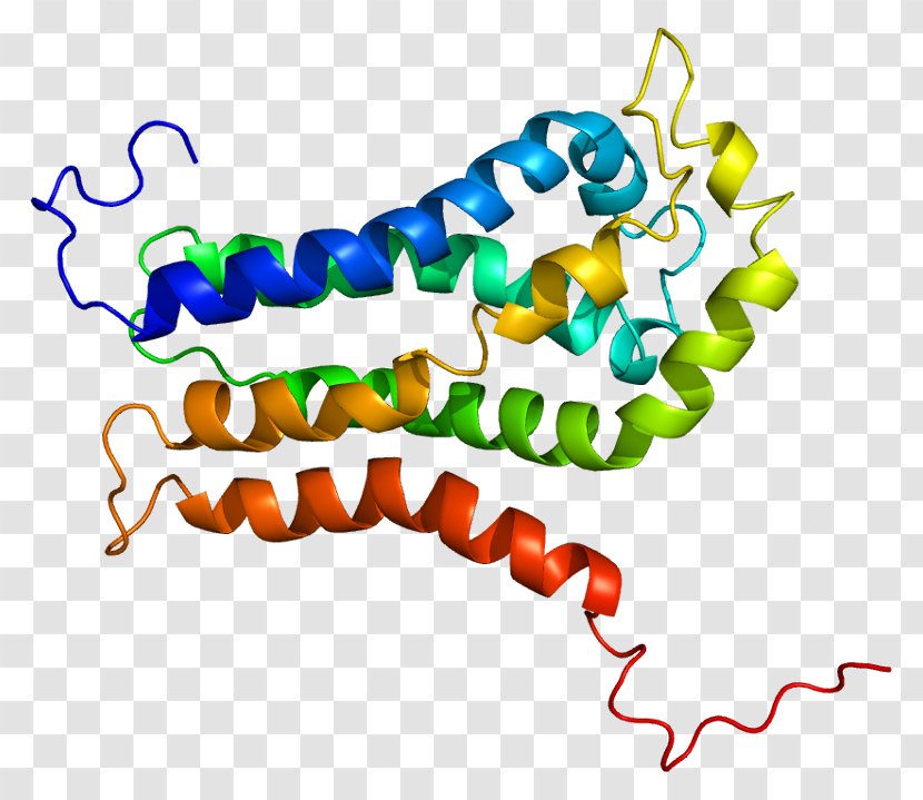 Protein Guanine Nucleotide Exchange Factor Rho Family Of GTPases ARHGEF7 - Tree - Cartoon Transparent PNG