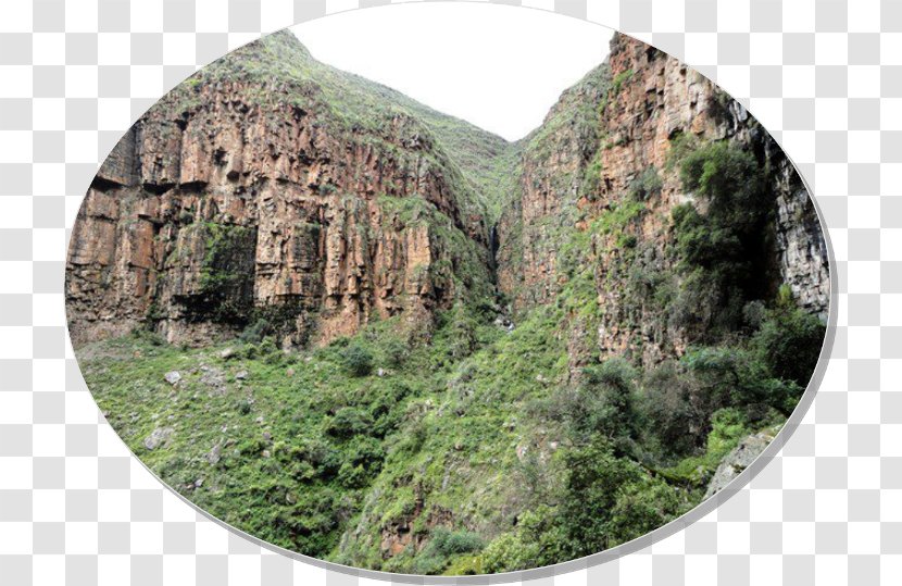 Tarija Nature Reserve Vegetation National Park Outcrop - Turismo Transparent PNG