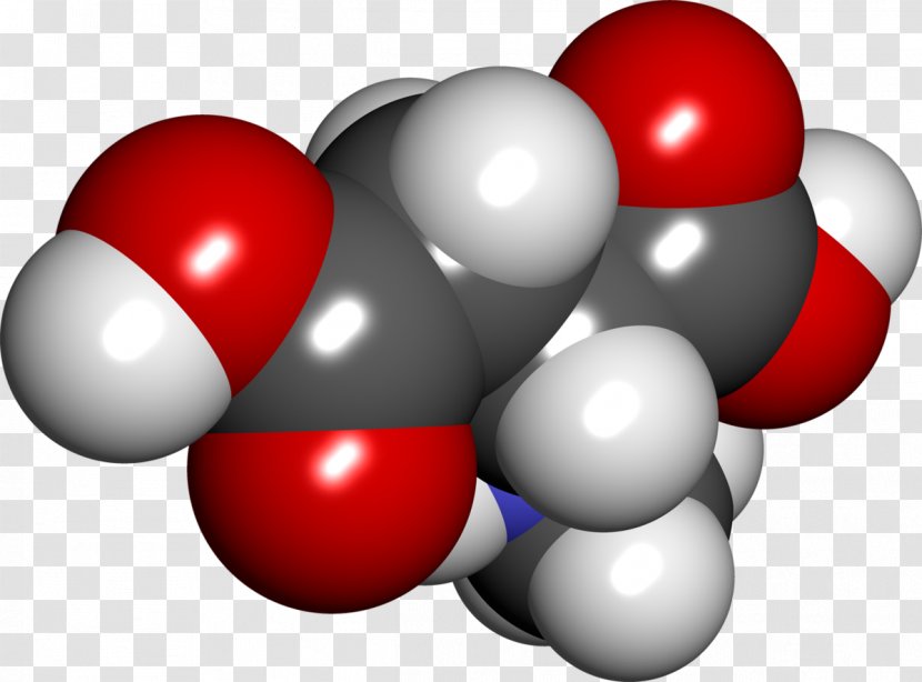 N-Methyl-D-aspartic Acid Space-filling Model Methyl Group - Molecule Transparent PNG