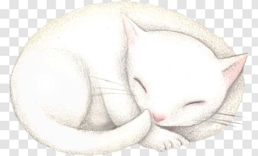 Whiskers Kitten Drawing Snout - Sleep Transparent PNG