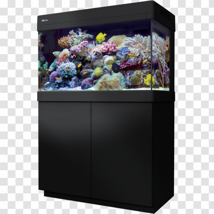 Red Sea Reef Aquarium Aquariums Coral Transparent PNG