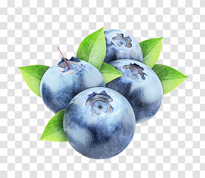 Fruit Tree Transparent PNG