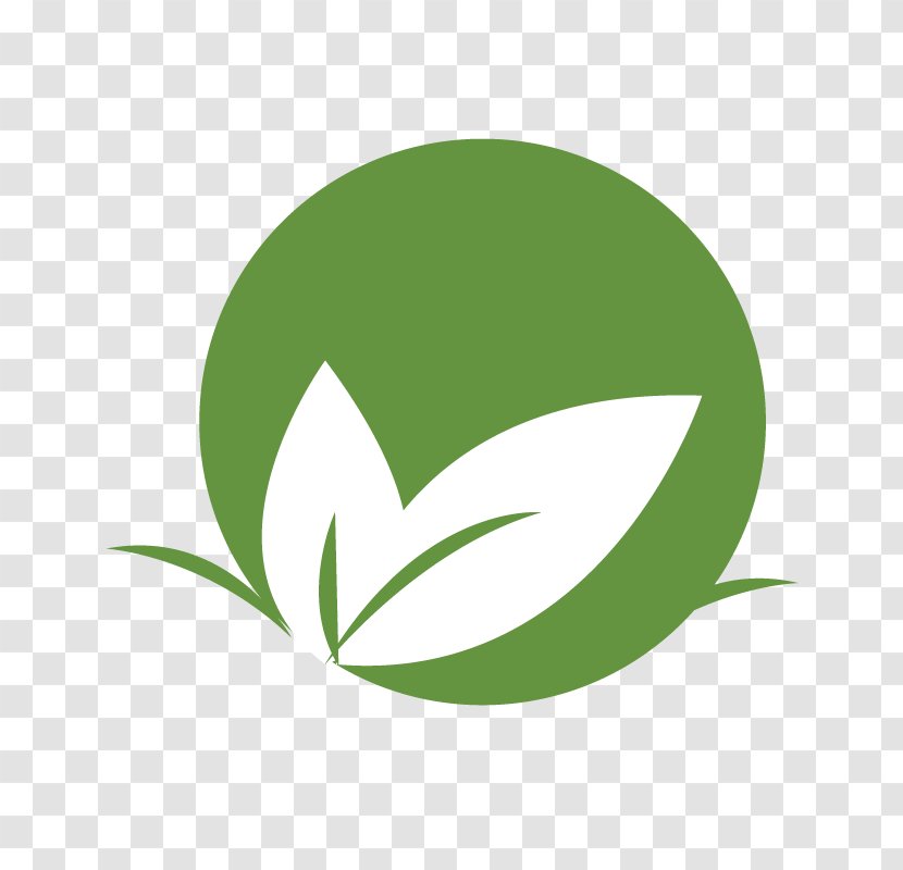 Logo Leaf Brand Line Font Transparent PNG