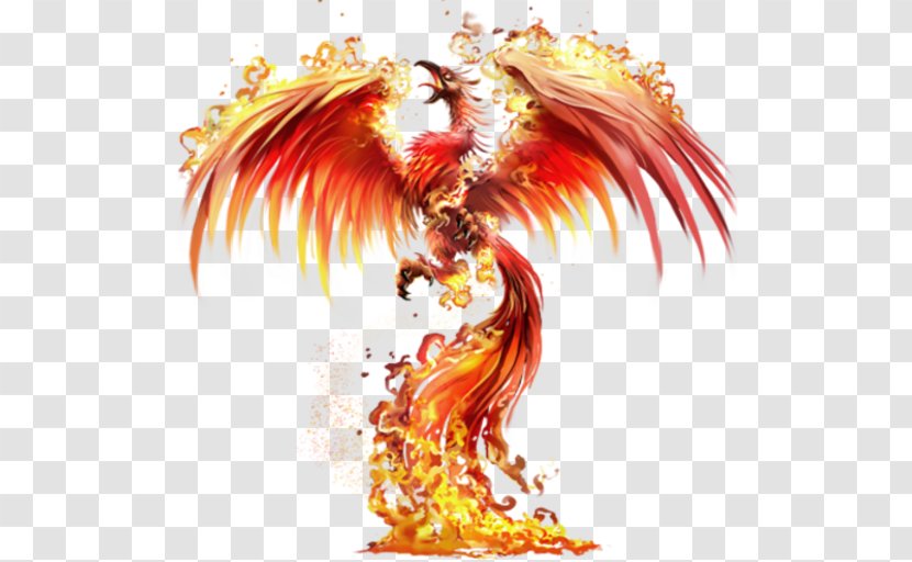 Firebird Phoenix Drawing Image Tattoo Transparent PNG