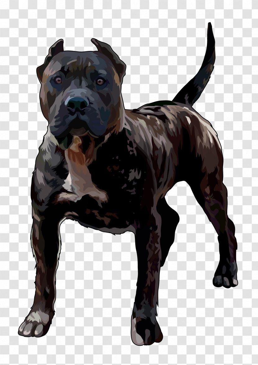 Presa Canario Dog Breed American Pit Bull Terrier - Canarias Transparent PNG
