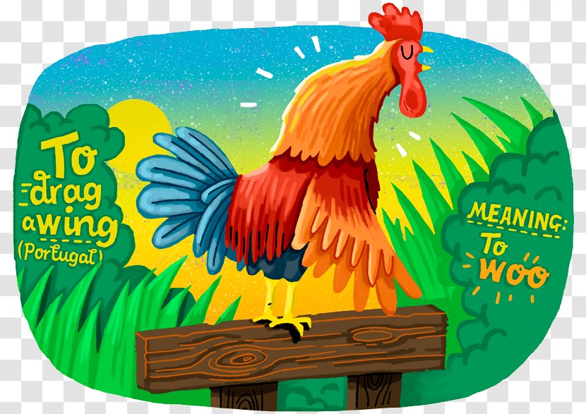 Illustrator Illustration Advertising Design Television Advertisement - Parrot - Rooster Transparent PNG