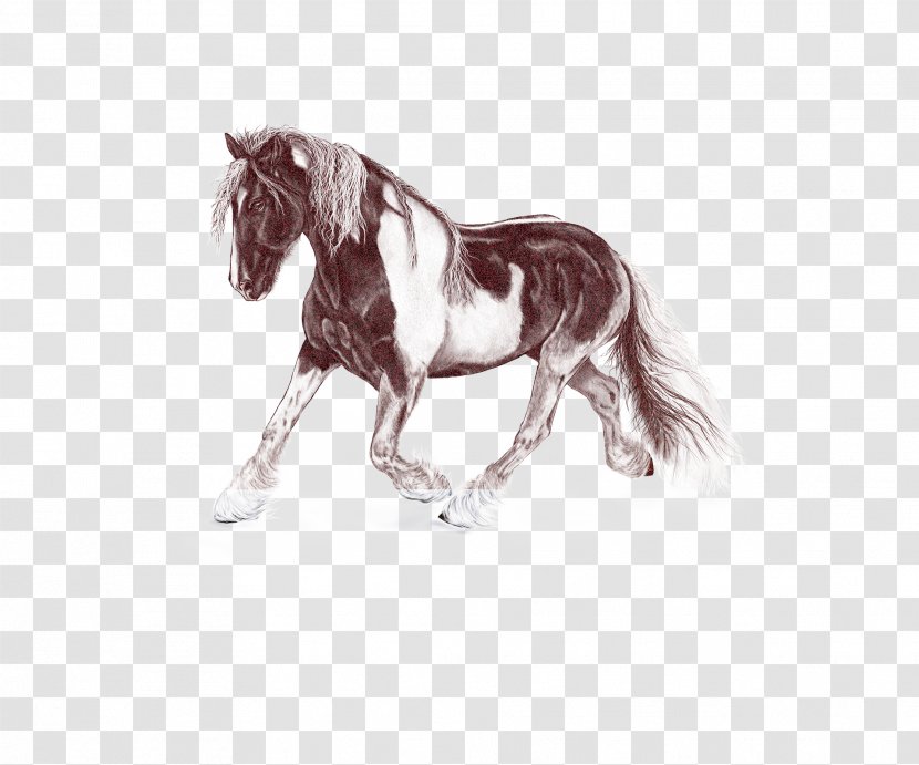 Horse Mane Animal Figure Stallion Shetland Pony - Mustang Sorrel Transparent PNG