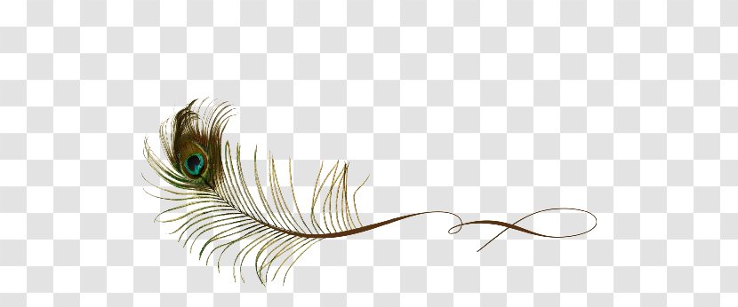 Feather Peafowl Clip Art - Eye Transparent PNG