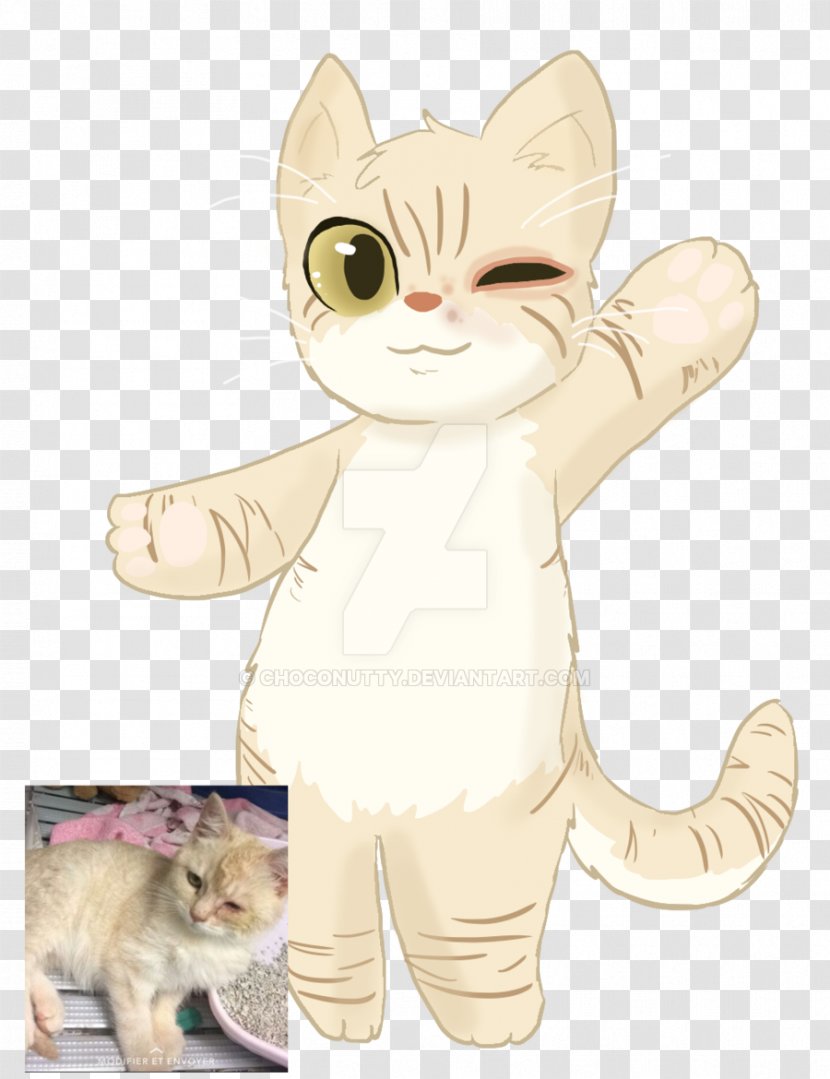 Whiskers Kitten Domestic Short-haired Cat Tabby Transparent PNG