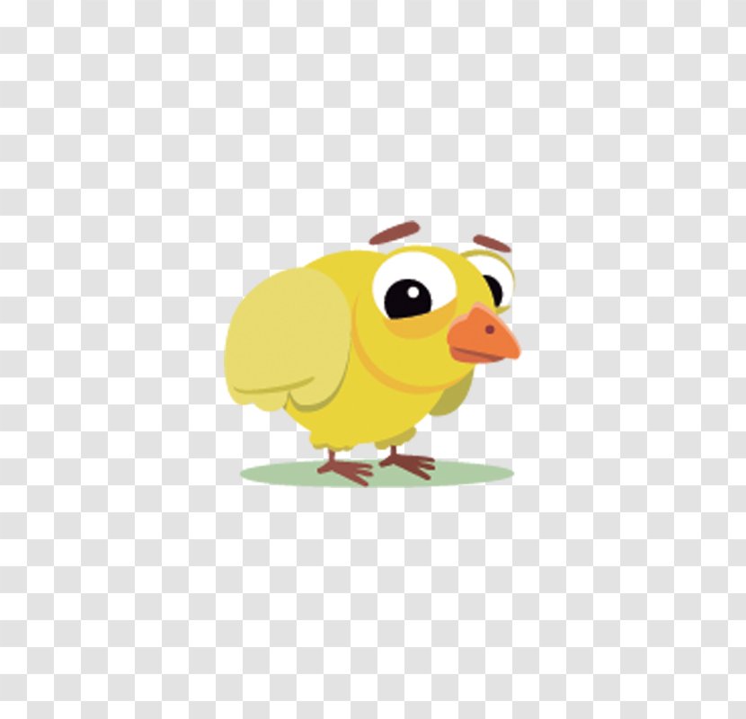 Bird Chicken Cartoon - Chick Transparent PNG