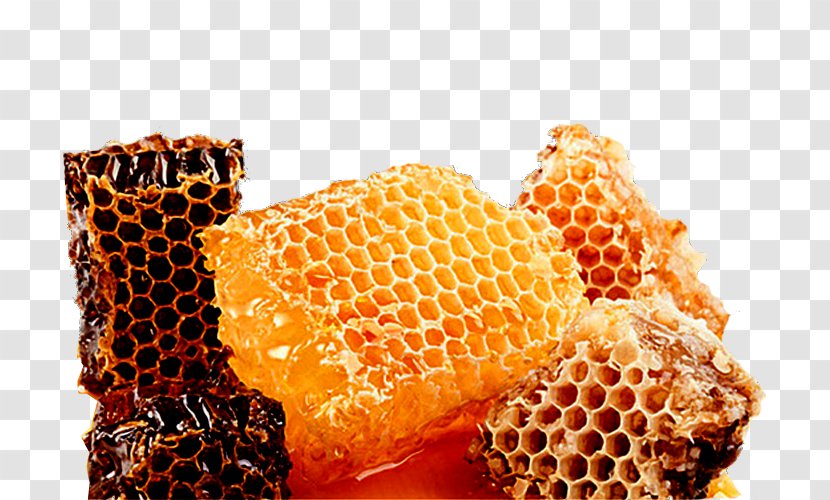 Honeycomb Turrxf3n Bee Nectar - Health - Honey Transparent PNG