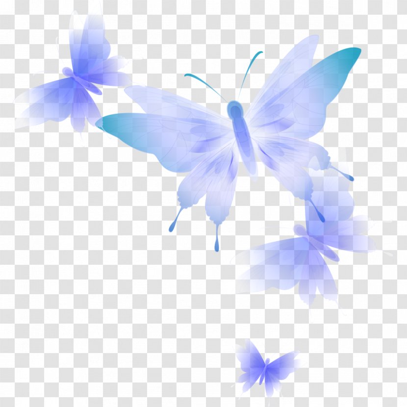 Butterfly Blue - Sky - Fly Transparent PNG