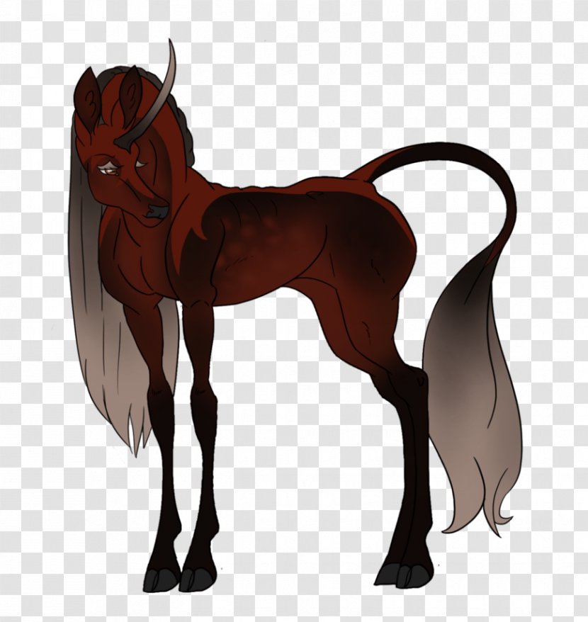 Mane Foal Mustang Stallion Colt - Horse Transparent PNG