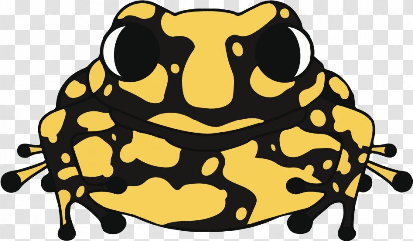 Frog Cartoon - Bullfrog - Hyla Anaxyrus Transparent PNG