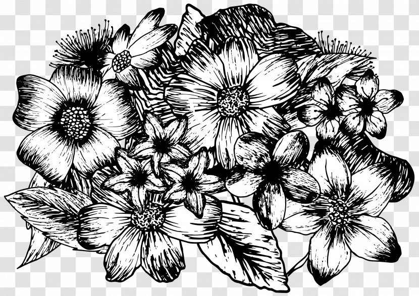 Chrysanthemum Sketch Pattern Floral Design - Black And White Transparent PNG