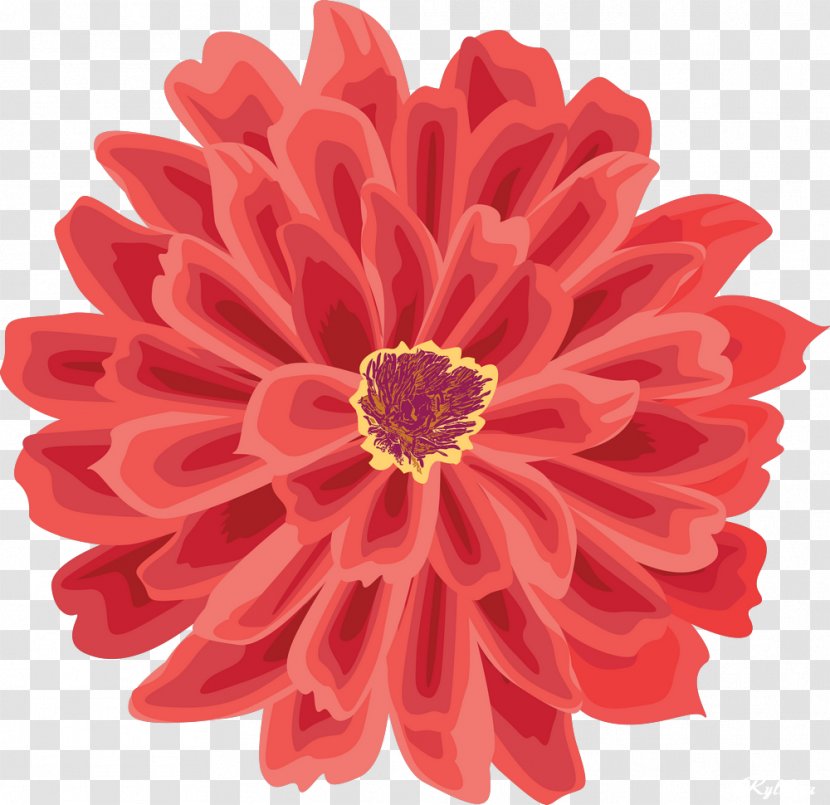 Drawing Clip Art - Gerbera - Pretty Flowers Transparent PNG