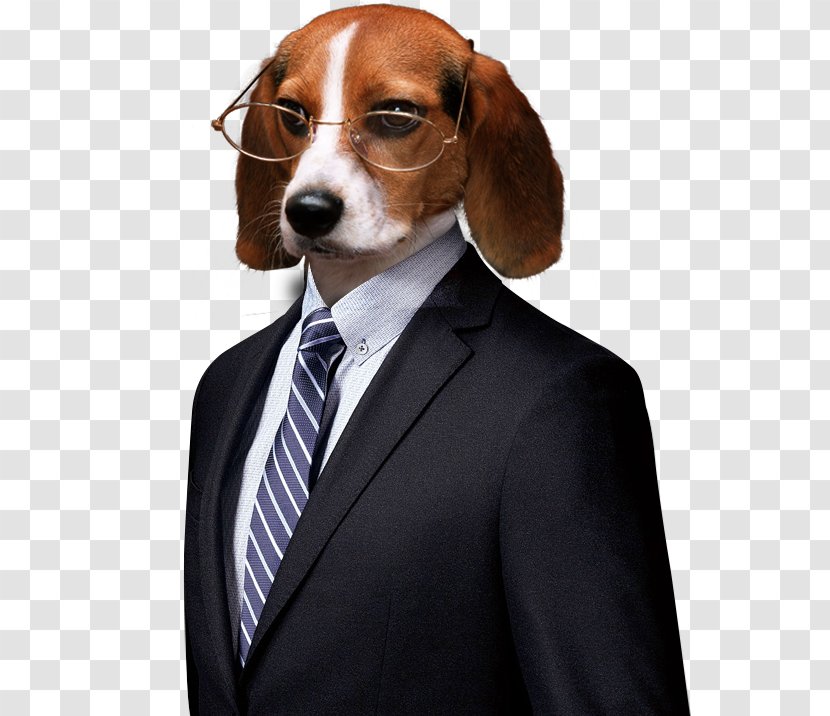 Kobold Suit Creative Combination - Dog - Beagle Transparent PNG