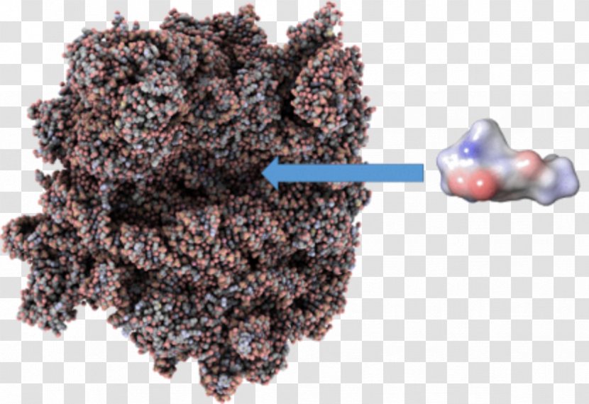 Antibiotics Beilstein Journal Of Organic Chemistry In Silico 2-Oxazolidone Institute For The Advancement Chemical Sciences - Simulation - 12bisdiphenylphosphinoethane Transparent PNG