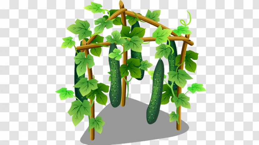 Cucumber Food Vegetable - Tree Transparent PNG