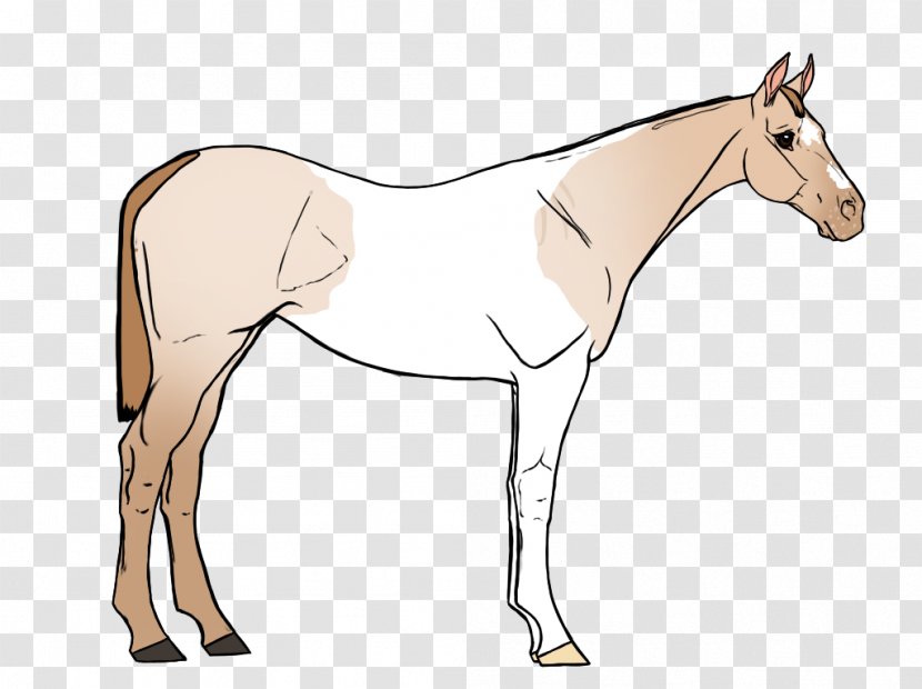 Mule Foal Stallion Bridle Mare - Hot Rod Transparent PNG