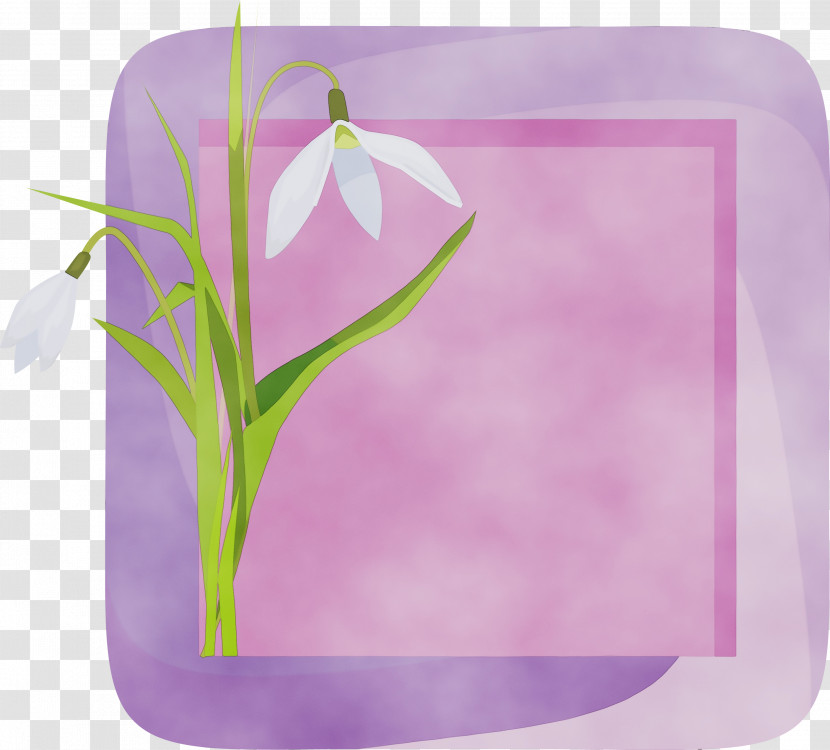 Lavender Transparent PNG