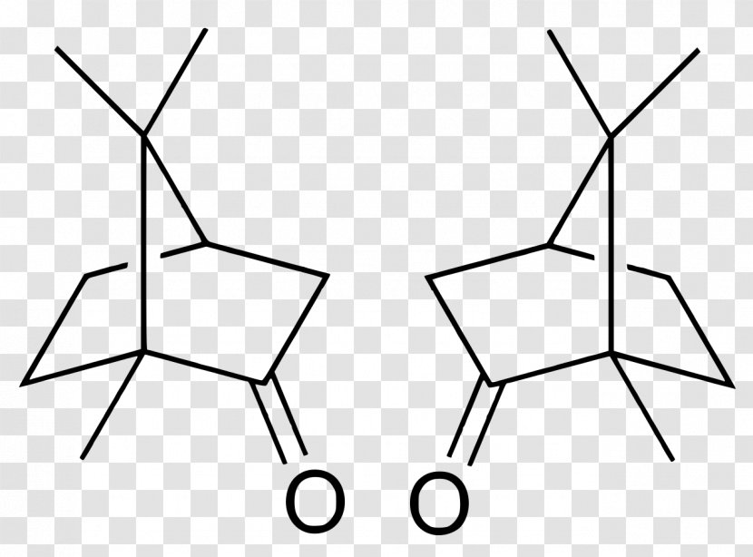 Camphorsulfonic Acid Camphoric - Chemistry - Camphor Transparent PNG