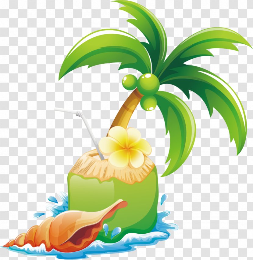 Coconut Tree Drawing - Fruit Natural Foods Transparent PNG