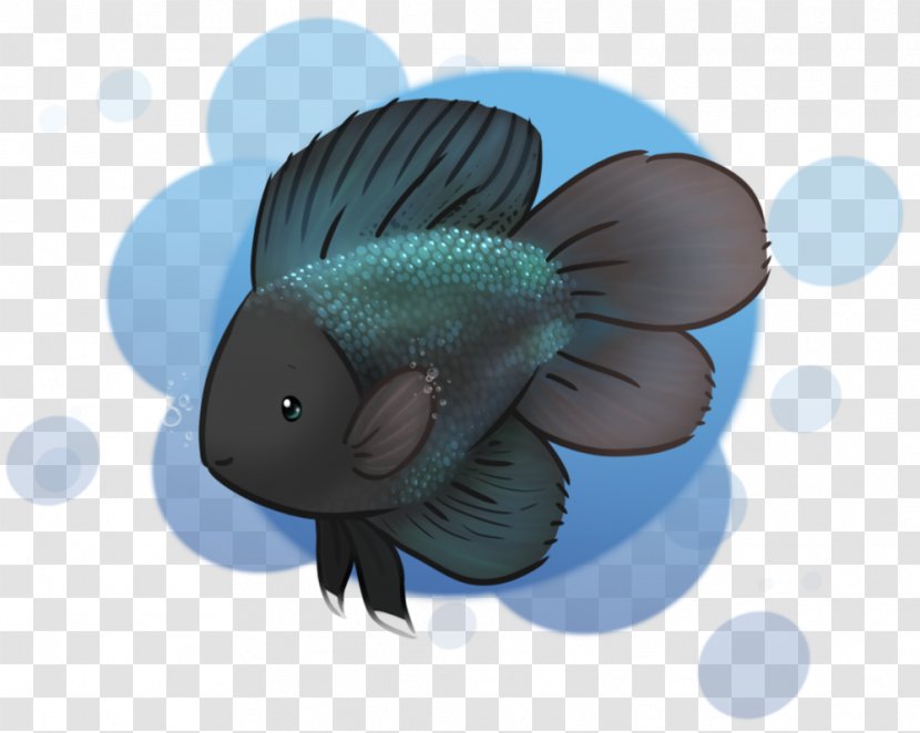 Hedgehugs YouTube DeviantArt Bear 23 January - Beach - Betta Transparent PNG