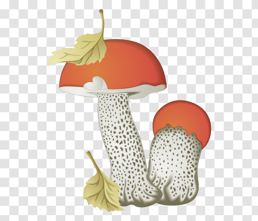 Brown Cap Boletus Aspen Mushroom Fungus Edible - Drawing Transparent PNG