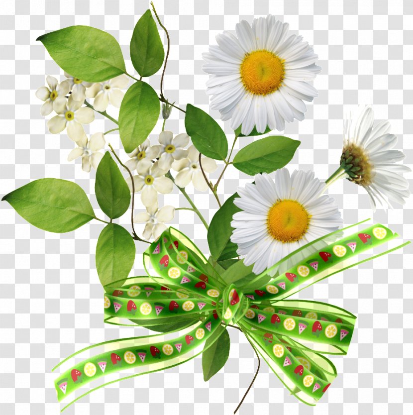 Flower Plant Cut Flowers Petal Chamomile - Bouquet - Leaf Transparent PNG