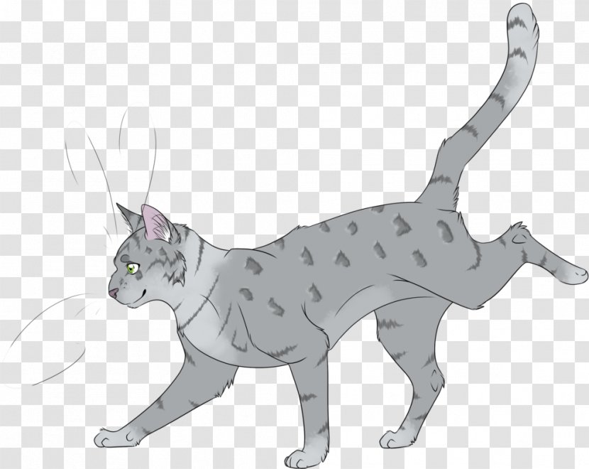 Kitten Whiskers Forest Of Secrets Cat Into The Wild Transparent PNG