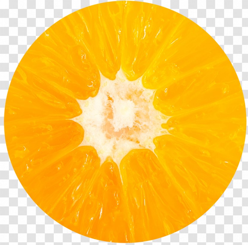 Clementine Stock Photography Royalty-free Mandarin Orange - Sa Transparent PNG